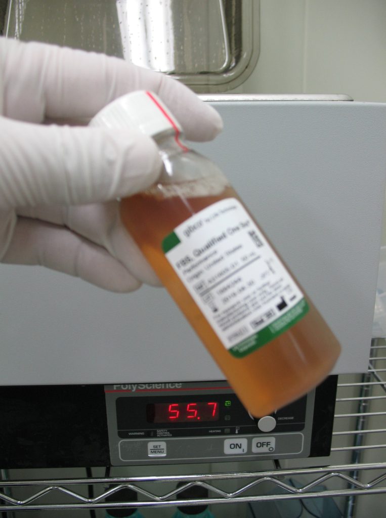 手袋をはめた手が、ウシ胎児血清（FBS）の入ったボトルを持っている。背景にはPolyscience製の恒温槽があり、温度表示は55.7℃を示している。凍結保存された試薬を解凍している場面。